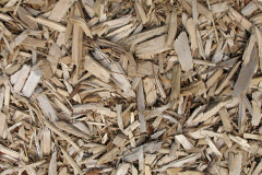 biomass boilers Monewden